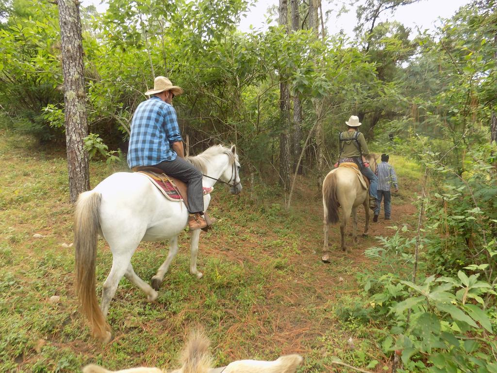 Rancho Hostal La Escondida Eco Park Teopisca Luaran gambar