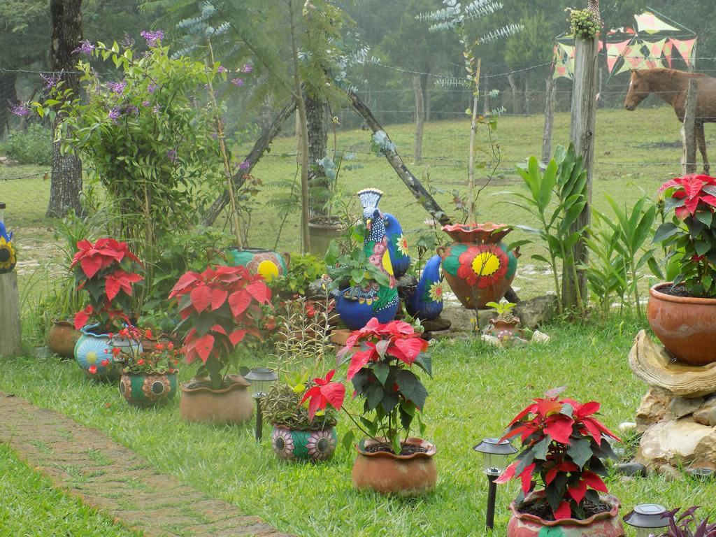 Rancho Hostal La Escondida Eco Park Teopisca Luaran gambar