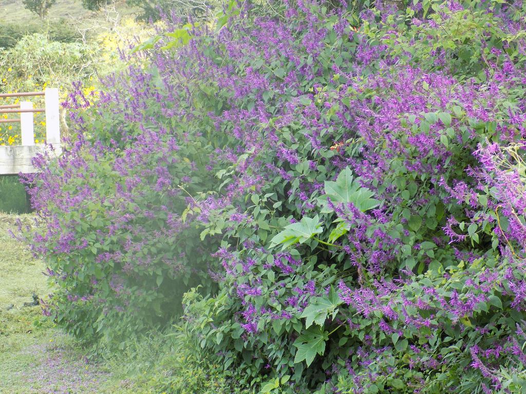 Rancho Hostal La Escondida Eco Park Teopisca Luaran gambar